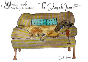 Afghan Hound Signed Print 'The Draped Icon' Sofa Society Member