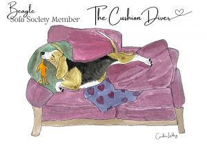 Beagle Signed Print 'The Cushion Diver' Sofa Society Member