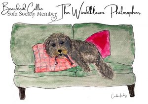 Bearded Collie Signed Print 'The Windblown Philosopher' Sofa Society Member