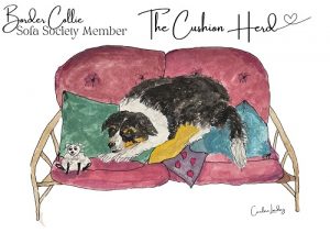 Border Collie Signed Print 'The Cushion Herd' Sofa Society Member (Black white gold)
