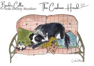 Border Collie Signed Print 'The Cushion Herd' Sofa Society Member (Black white)