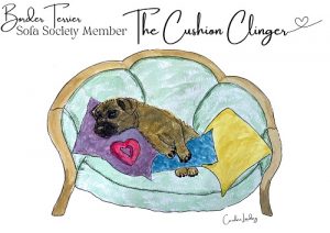 Border Terrier Signed Print 'The Cushion Clinger' Sofa Society Member