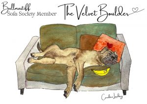 Bull Mastiff Signed Print 'The Velvet Boulder' Sofa Society Member