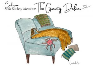 Cockapoo Signed Print 'The Gravity Defier' Sofa Society Member