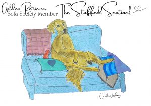 Golden Retriever Signed Print 'The Stuffed Sentinel' Sofa Society Member