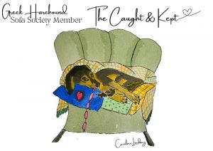 Greek Harehound Signed Print 'The Caught & Kept' Sofa Society Member