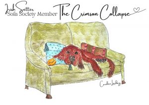 Irish Setter Signed Print 'The Crimson Collapse' Sofa Society Member