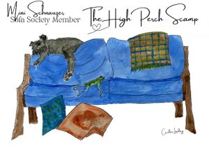 Mini Schnauzer Signed Print 'The High Perch Scamp' Sofa Society Member
