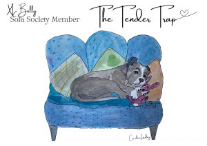 XL Bully Signed Print 'The Tender Trap' Sofa Society Member